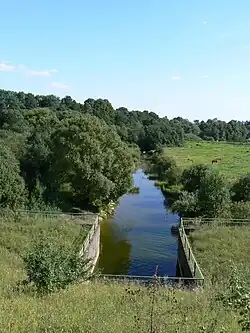 Šustis od hráze rybníku Žemaičių Naumiesčio tvenkinys, pohled k jihu