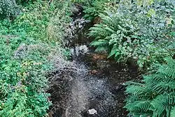 Na státní hranici v zaniklé vesnici Švarcava