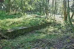 Pozůstatky stavení