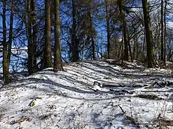 Žďár (u Staré Paky) - tvrziště Pravín, zvané též Hradiště či Ždírec (stav březen 2023) (15).jpg