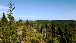 Zalesněné hřbety Žďárských vrchů z vrcholu Devět skal, mezi stromy skalní útvary typické pro žďárský typ georeliéfu ploché vrchoviny, tvořící v rozsahu 385 až 836 m n. m. geomorfologický podcelek