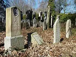 ŽH Strakonice 03.jpg