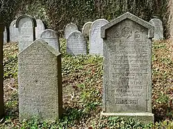 ŽH Velhartice 12.jpg