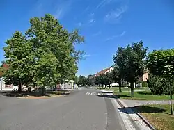 Lípy ve středu obce