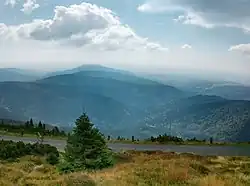 Žalský hřbet, Mechovinec zcela vlevo