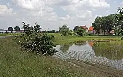 Hráz bývalého rybníka