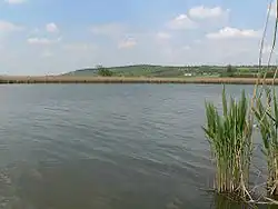 Žehuňský rybník, v pozadí vrch Báň (Hradčanská kuesta)