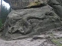 Želízy - Had (1).jpg