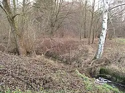 Železný potok u pumpy MOL