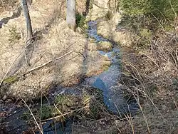 Dolní tok před ústím do Bílého potoka