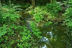 Žerčický potok před Žerčicemi