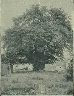 přelom 19. a 20. století (Jan Vilím)