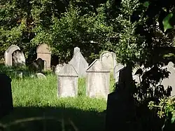 Žid.hřbitov_Malešov_1.JPG