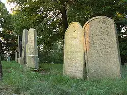 Židovský_hřbitov_Batelov.JPG