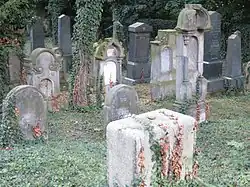 Židovský hřbitov Zlonice 3.JPG