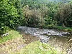 Moravice u Žimrovic je chráněná jako evropsky významná lokalita Údolí Moravice