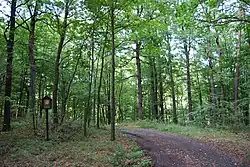 Přírodní rezervace Žlíbky