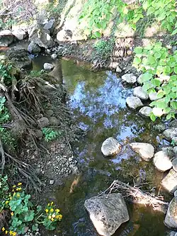 Župė u vsi Radailiai