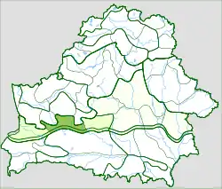 Baranavická rovina (zeleně) na geomorfologické mapě Běloruska