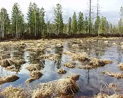 Slatiny v okolí města (2007)