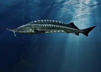 alternativní popis obrázku chybí