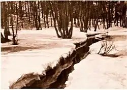 Y. A. Tymyrjazev: Potok v zimě, 1915