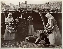 Кozáci používají sušený trus jako palivo, Cimljanskaja, 1875–1876