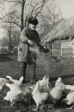 Sedlák krmí slepice, SSSR, 1934