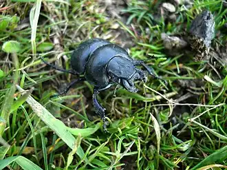 alternativní popis obrázku chybí