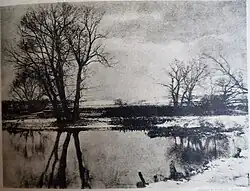 N. A. Nosov: Pejzaž (Krajina)