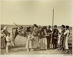 Zástupy donských kozáků do práce, 1876