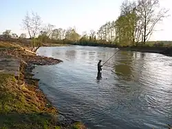 Řeka na dolním toku