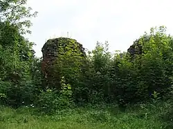 Ruiny místního řádového hradu