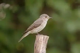 alternativní popis obrázku chybí