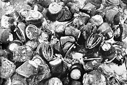 Po obklíčení německé 6. armády poblíž Stalingradu a uzavření jejích zásobovacích tras začaly německé jednotky hladomor. Němci snědli všechna hospodářská zvířata místních obyvatel, všechna domácí zvířata a koně zabité během bojů ve Stalingradu, stejně jako koně rumunské kavalérie.