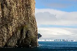 Rubiniho útes, skála na Hookerově ostrově