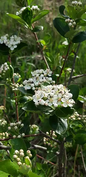 popis obrázku chybí