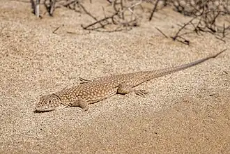 popis obrázku chybí