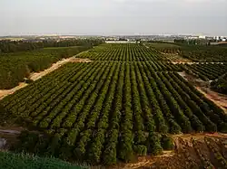 Zemědělské pozemky u vesnice Bacra