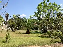 Veřejná zeleň ve vesnici Karmija