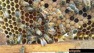 popis obrázku chybí