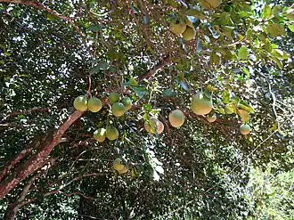 alternativní popis obrázku chybí