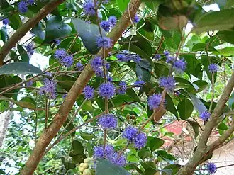 alternativní popis obrázku chybí