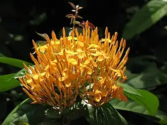 alternativní popis obrázku chybí