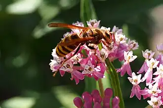 alternativní popis obrázku chybí