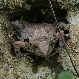 alternativní popis obrázku chybí