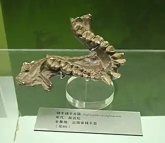 popis obrázku chybí