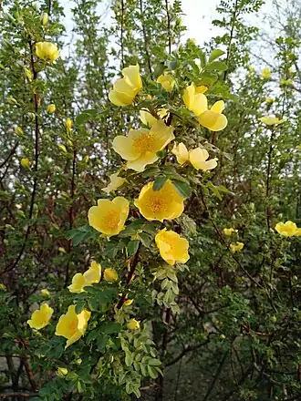 alternativní popis obrázku chybí