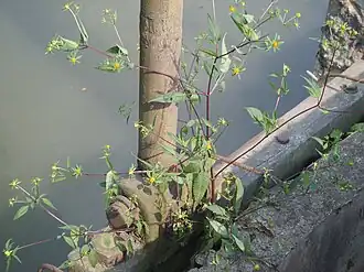 alternativní popis obrázku chybí