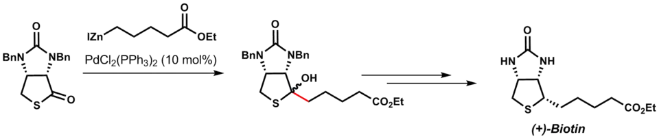 Totální syntéza (+)-biotinu s využitím Fukujamova párování